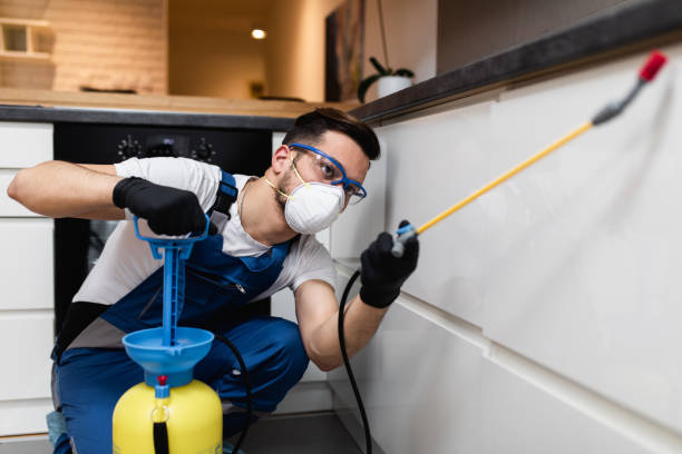 Reliable Leisure Knoll, NJ Pest Control Solutions