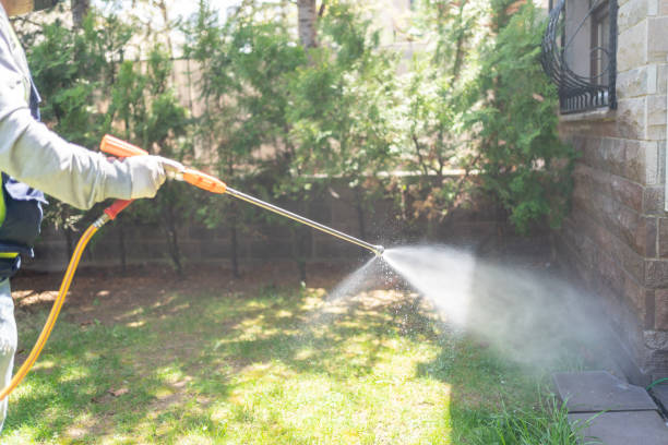 Bird Control in Leisure Knoll, NJ