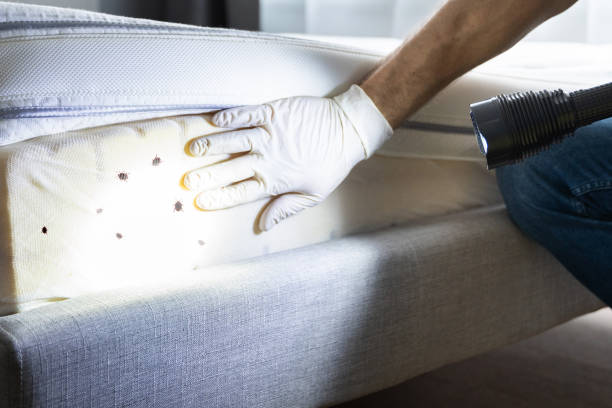 Best Rat Extermination Near Me  in Leisure Knoll, NJ