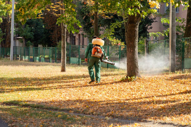 Professional Pest Control in Leisure Knoll, NJ