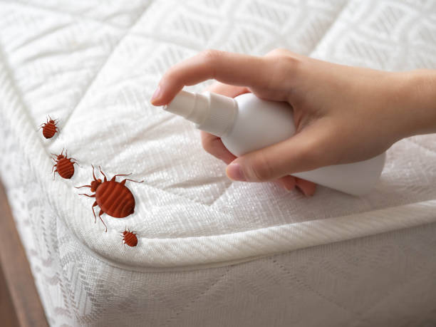 Best Local Pest Control Services  in Leisure Knoll, NJ
