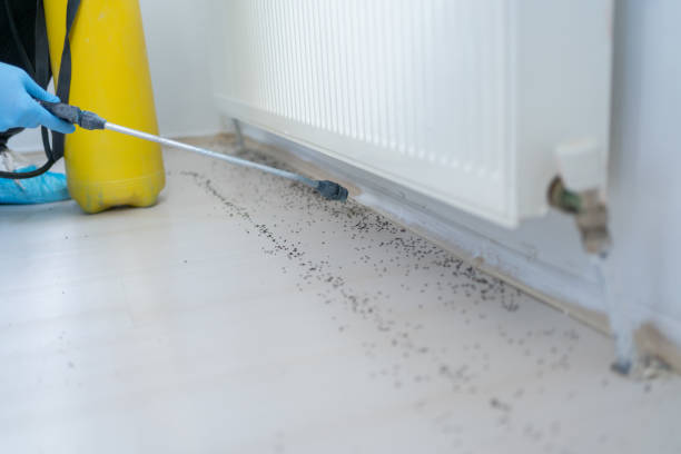Best Affordable Pest Control Services  in Leisure Knoll, NJ