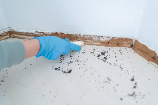 Best Pest Inspection Near Me  in Leisure Knoll, NJ