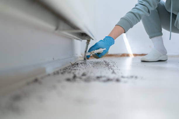 Best Termite Control Services  in Leisure Knoll, NJ